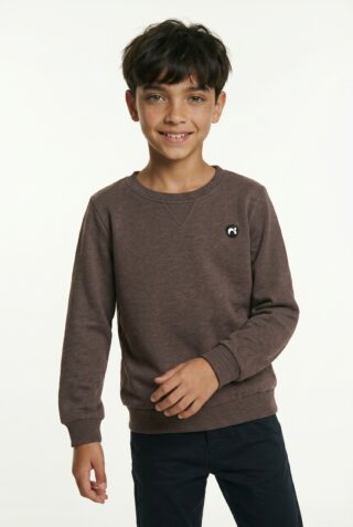 Name It Sweatshirt "NMMVIMO LS SWEAT BRU NOOS"