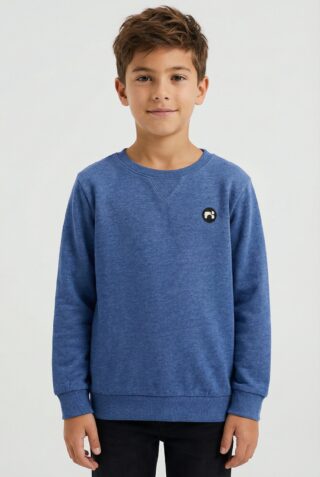 Name It Sweatshirt "NMMVIMO LS SWEAT BRU NOOS"