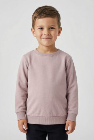Name It Sweatshirt "NMNSELI LS SWE BRU NOOS"