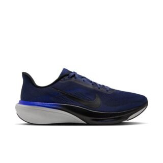 Nike Pegasus 42 Gr. 40 Blau Herren