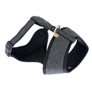 Nomad Tales Calma Geschirr, ebony - Passende Leine: 200 cm lang, 20 mm breit