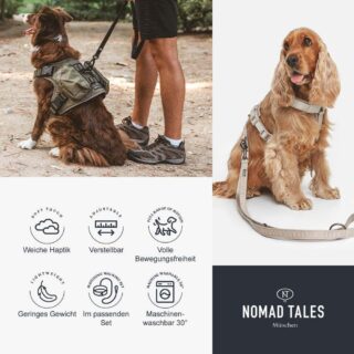 Nomad Tales Geschirr Blush Limited Edition, mocha - Größe M: ca. 53 - 71 cm Brustumfang