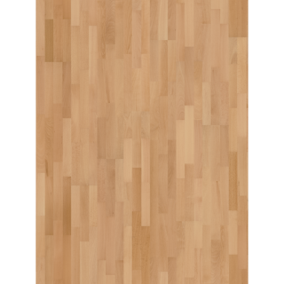 Parador Parkett 'Basic 11-5' Buche Natur lackversiegelt matt 11,5 mm