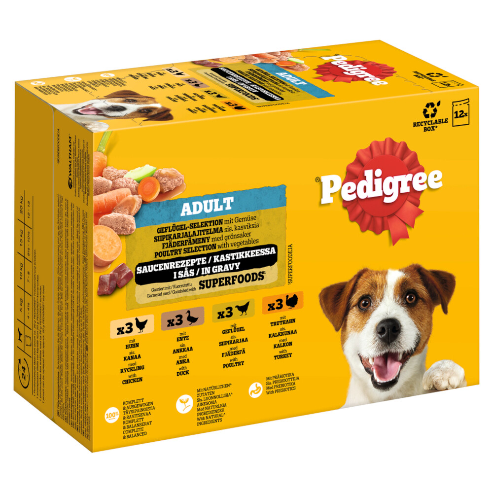 Pedigree Adult Frischebeutel Multipack - Sparpaket: Gemischte Selektion in Gelee (4 Varietäten) 96 x 100 g