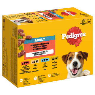Pedigree Adult Frischebeutel Multipack - Sparpaket: Gemischte Selektion in Soße (4 Varietäten) 96 x 100 g