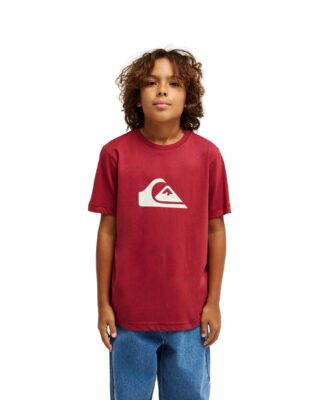 Quiksilver T-Shirt "Ev Comp Logo"