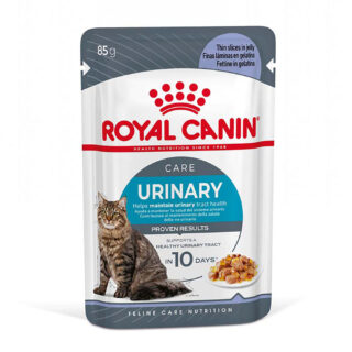 Royal Canin FCN Urinary Care in Gelee - 12 x 85 g