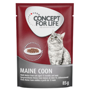 Sparpaket Concept for Life 24 x 85 g - British Shorthair Adult (Ragout-Qualität)