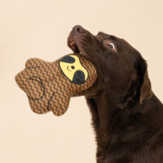 TIAKI Hundespielzeug Faultier - ca. L 19 x B 19 x H 7 cm