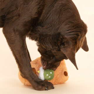 TIAKI Hundespielzeug Matcha Capibara - L 20 x B 13 x H 13 cm