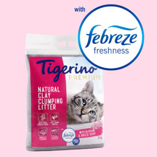 Tigerino x Febreze: Premium Katzenstreu - Febreze Frischer Blütenduft - Sparpaket 2 x 12 kg