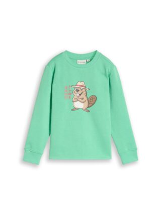 TOM TAILOR Sweater, mit Frontprint / Rundhals / für Kids