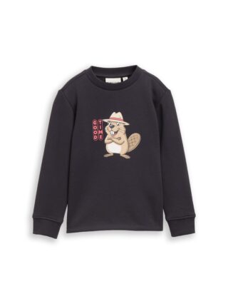 TOM TAILOR Sweater, mit Frontprint / Rundhals / für Kids