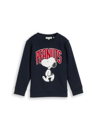 TOM TAILOR Sweater, mit Peanuts-Print / für Boys