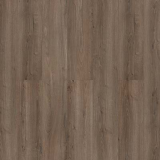 toom Laminat 'Savanne' Eiche Bodman graubraun 7 mm