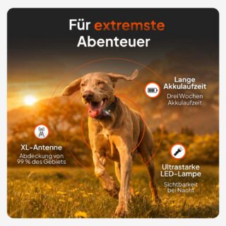 Weenect Haustier GPS Tracker XT für Hunde - mit Halsband - schwarz inkl. schwarzem Halsband