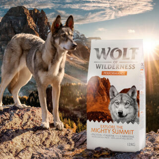 Wolf of Wilderness "Explore The Mighty Summit" Performance - getreidefrei - 12 kg: neue Rezeptur