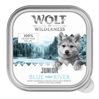 Wolf of Wilderness JUNIOR - Duo-Protein Rezeptur 6 / 24 x 150 g Schale - 24 x 150 g Wild Hills - Ente & Kalb
