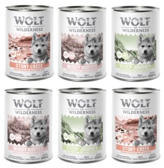 Wolf of Wilderness JUNIOR - Mixpaket - 6 x 400 g: 4x Ente & Kalb, 2x Huhn & Lachs