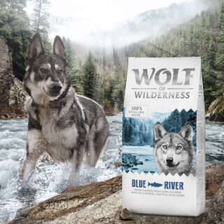 Wolf of Wilderness Probierbeutel - getreidefrei - Monoprotein: Untamed Grasslands - Pferd (300 g)